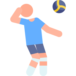 volleybal icoon