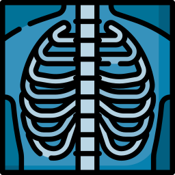 X ray icon