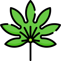 Japanese aralia icon