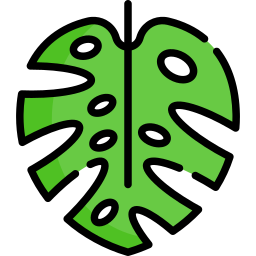 Monstera deliciosa icon