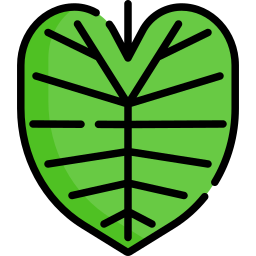 colocasia icon