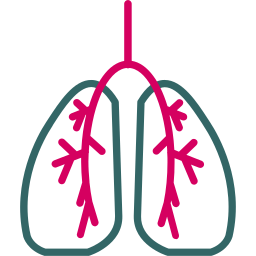 polmoni icona