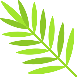 Areca palm icon