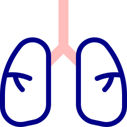 poumons Icône