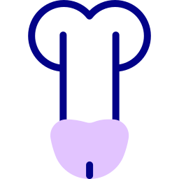 penis icon