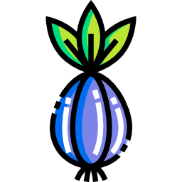 Onion icon