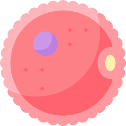 ovum icon