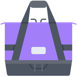 Bag icon