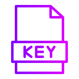 Key icon