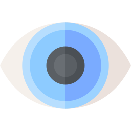 cornea icona