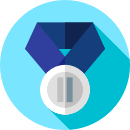 Silver medal icon