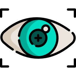 vision icon