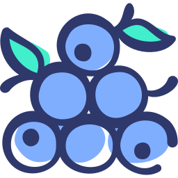 Fruit icon