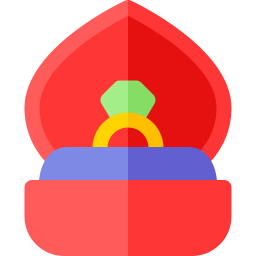 ring icon