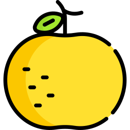 laranja Ícone