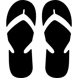 Pair of Flip Flop icon