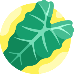 alocasia micholtziana icon