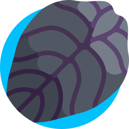 alocasia cuprea icon