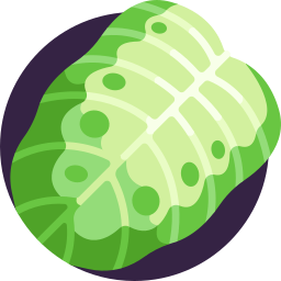 Dumb cane icon