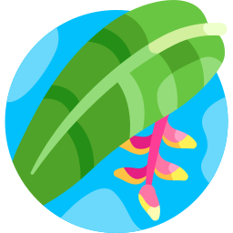 heliconia rostrata icon