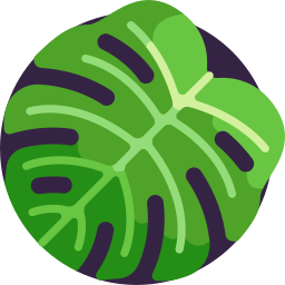 monstera icon