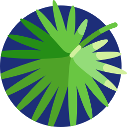 fächerpalme icon