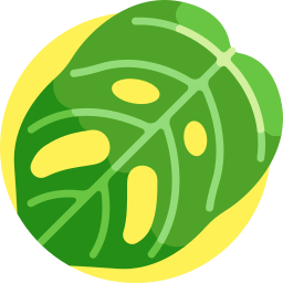 monstera adansonii icon