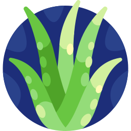 aloe vera icon