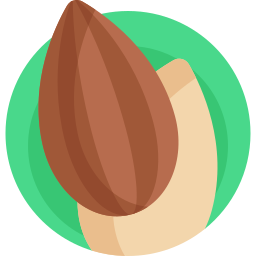 Almond icon