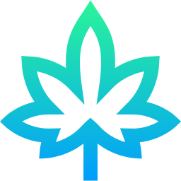 Tropical leaves icon