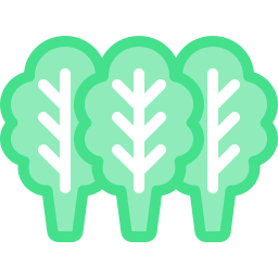 Kale icon