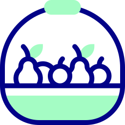 Fruit icon