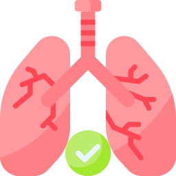 Lungs icon