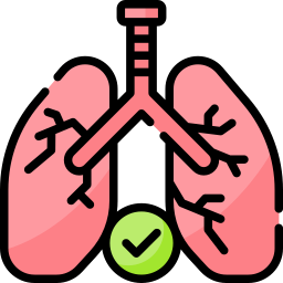 Lungs icon