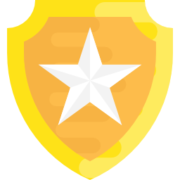 Shield icon