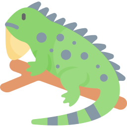 iguane Icône