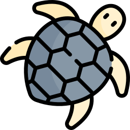 karettschildkröte icon