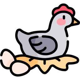 Chicken icon