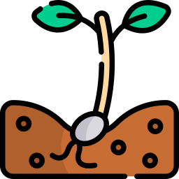 Sprout icon