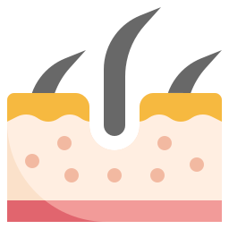 epidermis icon