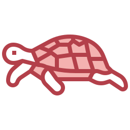 schildkröte icon