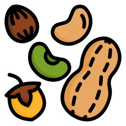 Nuts icon