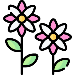 blume icon