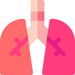 Lungs icon