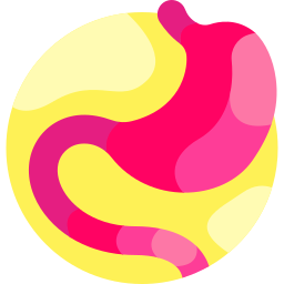 Stomach icon