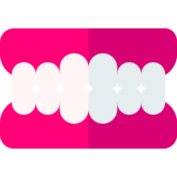 Denture icon