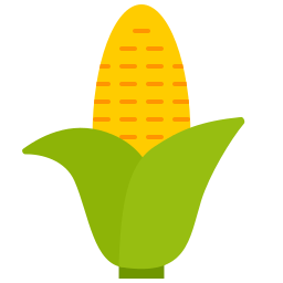 Corn icon