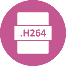 H264 icon