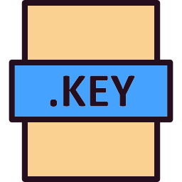 Key icon