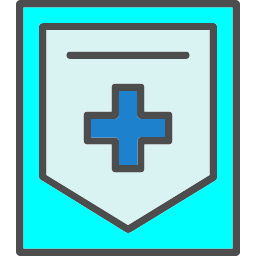 Shield icon